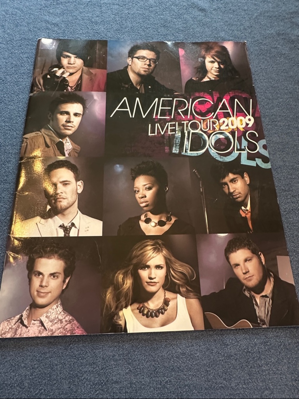 American Idols Live! Tour 2009 Tour Program Poster - Purple/Black